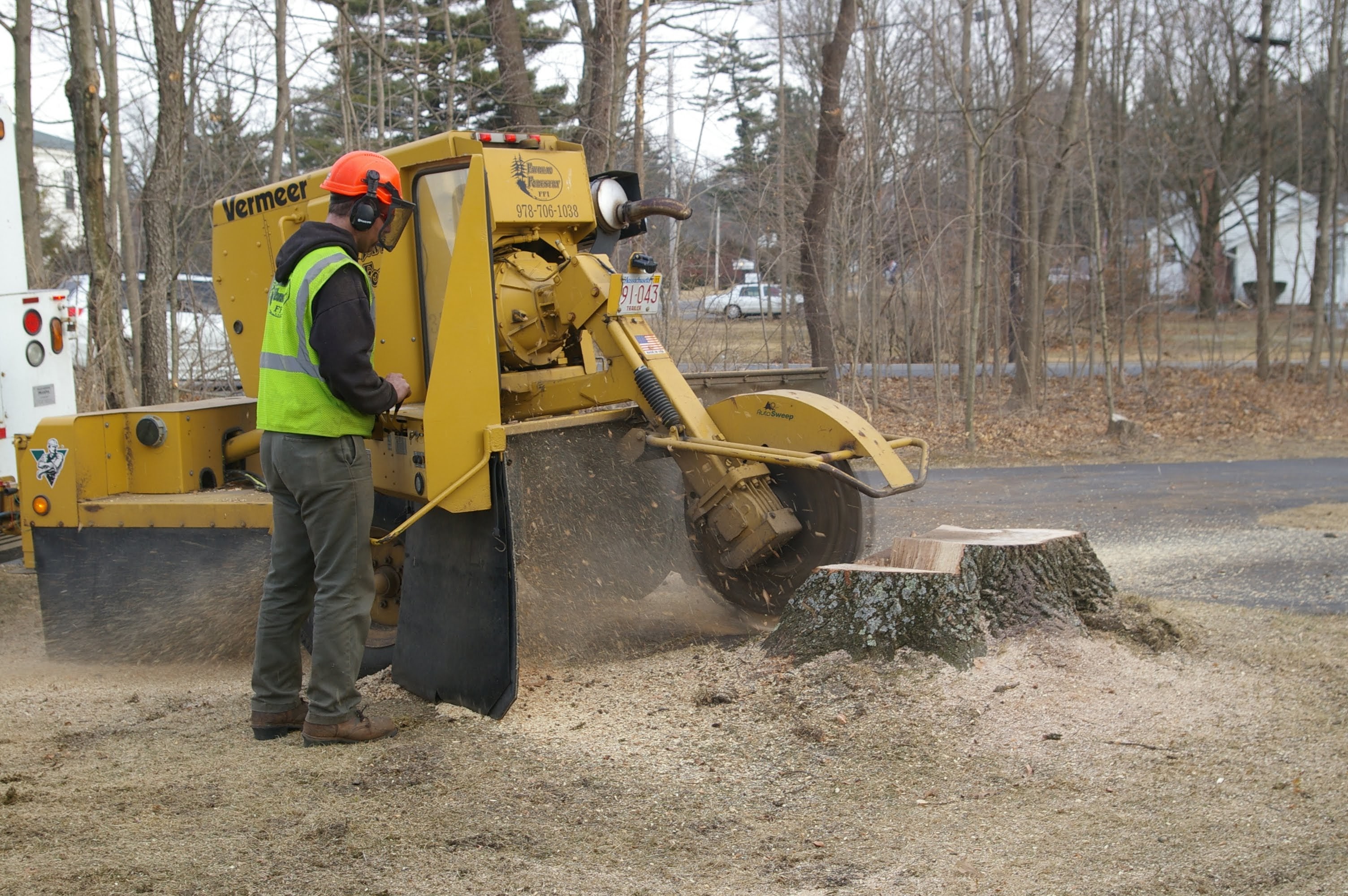 A1 Climbers Affordable Tree Service: Service Image-5 A1 Climbers Affordable Tree Service: Service Image-5